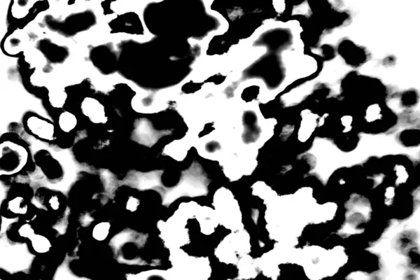 Fondo Abstracto Textura Monocromática Fondo Texturizado Blanco Negro — Foto de Stock