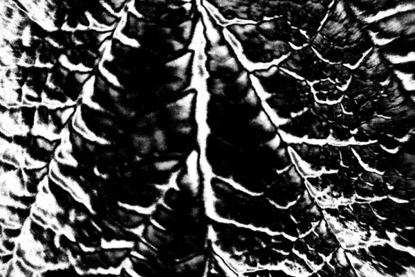 Contexte Abstrait Texture Monochrome Fond Texturé Noir Blanc — Photo