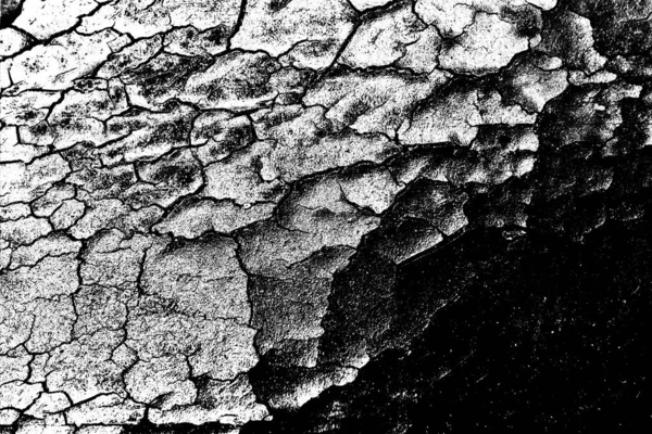 Contexte Abstrait Texture Monochrome Fond Texturé Noir Blanc — Photo