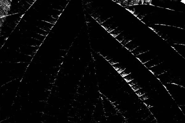 Contexte Abstrait Texture Monochrome Fond Texturé Noir Blanc — Photo