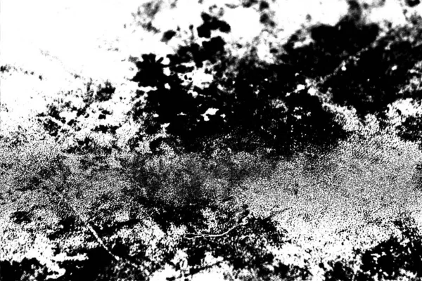 Contexte Abstrait Texture Monochrome Fond Texturé Noir Blanc — Photo