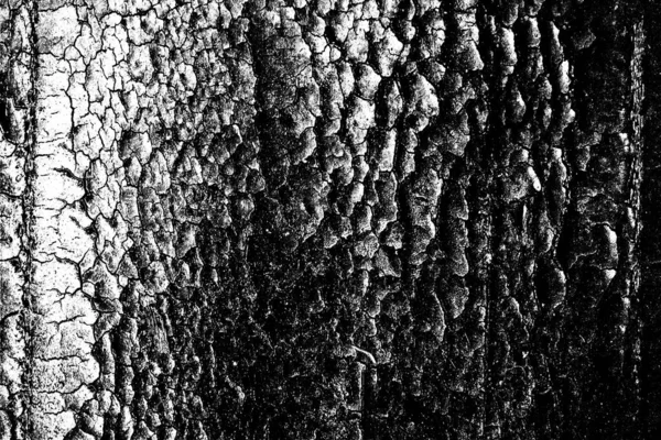 Fondo Abstracto Textura Monocromática Fondo Texturizado Blanco Negro — Foto de Stock