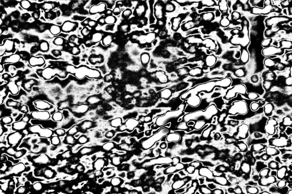 Fondo Abstracto Textura Monocromática Fondo Texturizado Blanco Negro — Foto de Stock