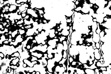 Soyut arkaplan. Monokrom dokusu. Siyah ve beyaz desenli arkaplan. 