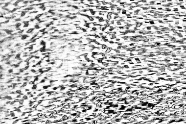 Soyut arkaplan. Monokrom dokusu. Siyah ve beyaz desenli arkaplan. 