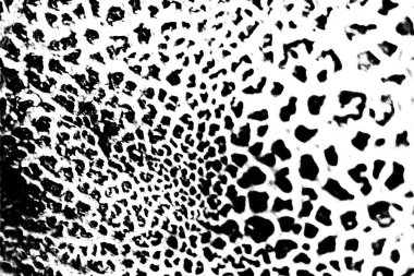 Soyut arkaplan. Monokrom dokusu. Siyah ve beyaz desenli arkaplan. 