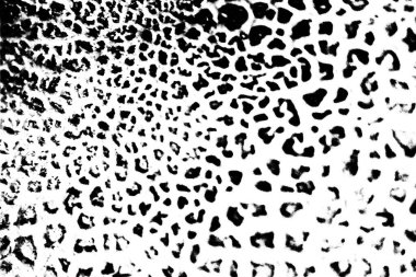 Soyut arkaplan. Monokrom dokusu. Siyah ve beyaz desenli arkaplan. 