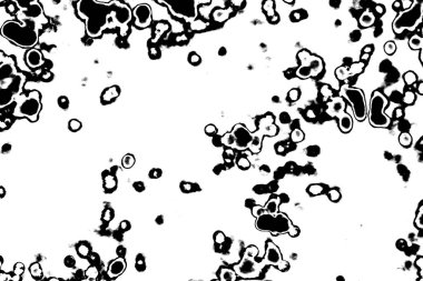 Soyut arkaplan. Monokrom dokusu. Siyah ve beyaz desenli arkaplan. 