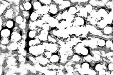 Soyut arkaplan. Monokrom dokusu. Siyah ve beyaz desenli arkaplan. 