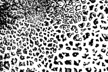 Soyut arkaplan. Monokrom dokusu. Siyah ve beyaz desenli arkaplan. 