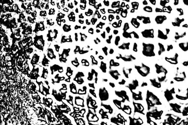 Soyut arkaplan. Monokrom dokusu. Siyah ve beyaz desenli arkaplan. 