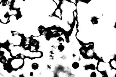 Soyut arkaplan. Monokrom dokusu. Siyah ve beyaz desenli arkaplan. 