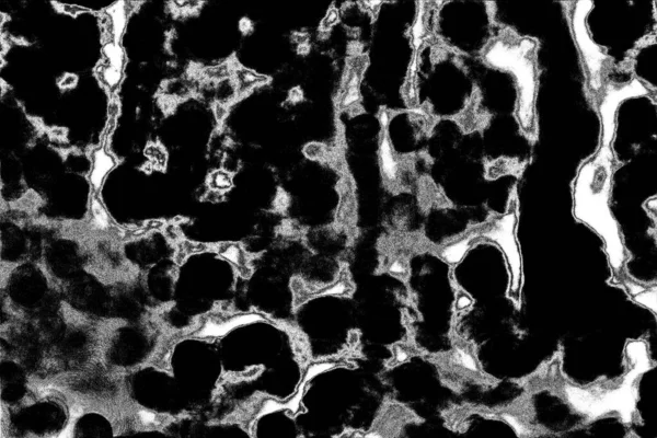 Абстрактный Фон Монохромная Текстура Черно Белый Текстурированный Фон — стоковое фото