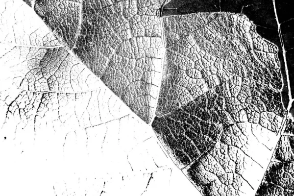 Contexte Abstrait Texture Monochrome Fond Texturé Noir Blanc — Photo