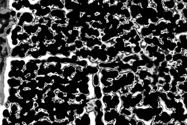 Абстрактный Фон Монохромная Текстура Черно Белый Текстурированный Фон — стоковое фото