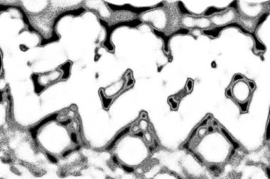 Soyut arkaplan. Monokrom dokusu. Siyah ve beyaz desenli arkaplan. 