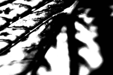 Soyut arkaplan. Monokrom dokusu. Siyah ve beyaz desenli arkaplan. 