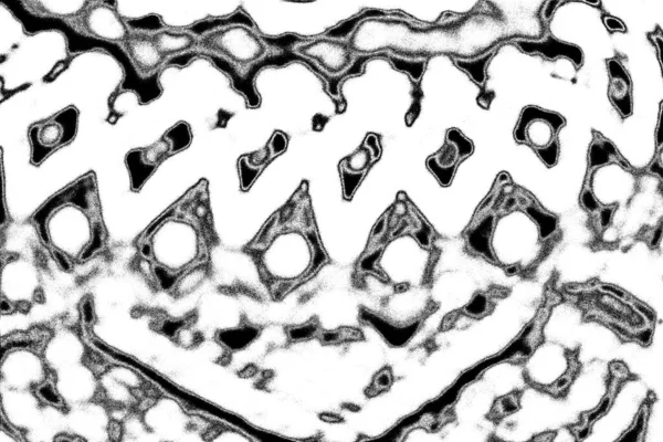 Абстрактный Фон Монохромная Текстура Черно Белый Текстурированный Фон — стоковое фото