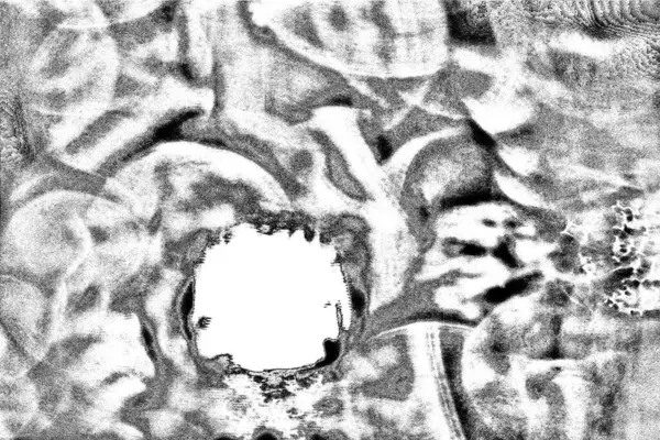 Abstrakt Bakgrund Monokrom Konsistens Svart Och Vit Strukturerad Bakgrund — Stockfoto
