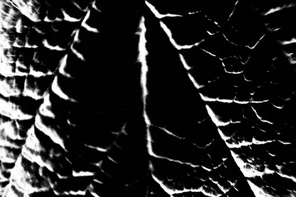 Abstracte Achtergrond Monochrome Textuur Zwart Wit Textuur Achtergrond — Stockfoto