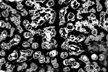 Soyut arkaplan. Monokrom dokusu. Siyah ve beyaz desenli arkaplan. 