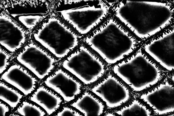 Fondo Abstracto Textura Monocromática Fondo Texturizado Blanco Negro — Foto de Stock