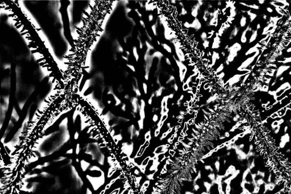 Contexte Abstrait Texture Monochrome Fond Texturé Noir Blanc — Photo