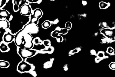 Soyut arkaplan. Monokrom dokusu. Siyah ve beyaz desenli arkaplan. 