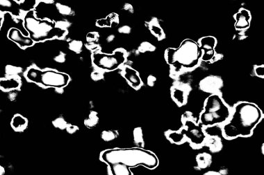 Soyut arkaplan. Monokrom dokusu. Siyah ve beyaz desenli arkaplan. 