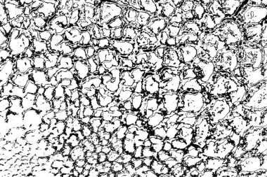 Soyut arkaplan. Monokrom dokusu. Siyah ve beyaz desenli arkaplan. 