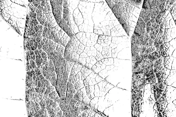 Fondo Abstracto Textura Monocromática Fondo Texturizado Blanco Negro —  Fotos de Stock