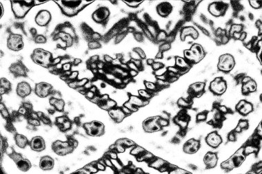 Soyut arkaplan. Monokrom dokusu. Siyah ve beyaz desenli arkaplan. 