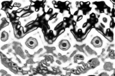 Soyut arkaplan. Monokrom dokusu. Siyah ve beyaz desenli arkaplan. 