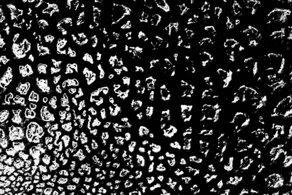 Fondo Abstracto Textura Monocromática Fondo Texturizado Blanco Negro —  Fotos de Stock