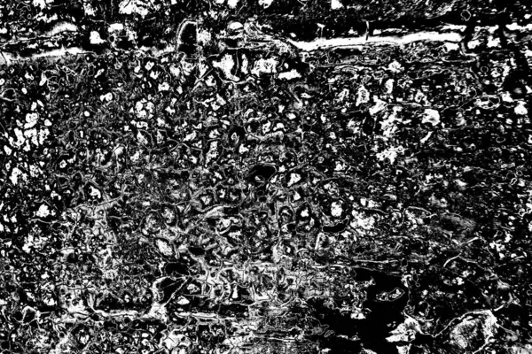 Abstract Grunge Texture Black White Colored Wallpaper — Stock Photo, Image