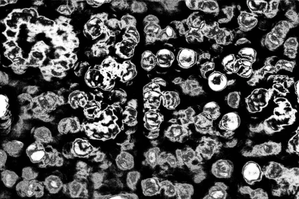 Abstrakcyjne Tło Monochromatyczna Faktura Czarno Białe Teksturowane Tło — Zdjęcie stockowe