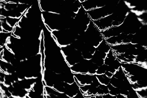 Fondo Abstracto Textura Monocromática Fondo Texturizado Blanco Negro —  Fotos de Stock