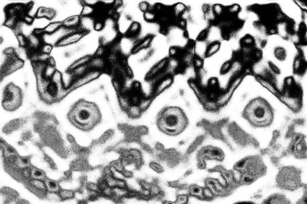 Абстрактный Фон Монохромная Текстура Черно Белый Текстурированный Фон — стоковое фото