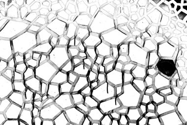 Soyut arkaplan. Monokrom dokusu. Siyah ve beyaz desenli arkaplan. 