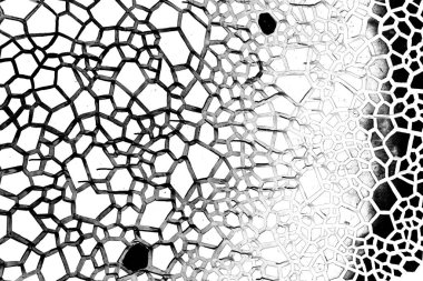 Soyut arkaplan. Monokrom dokusu. Siyah ve beyaz desenli arkaplan. 
