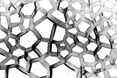 Soyut arkaplan. Monokrom dokusu. Siyah ve beyaz desenli arkaplan. 