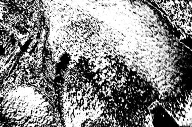 Soyut arkaplan. Monokrom dokusu. Siyah ve beyaz desenli arkaplan. 