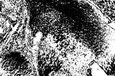 Soyut arkaplan. Monokrom dokusu. Siyah ve beyaz desenli arkaplan. 