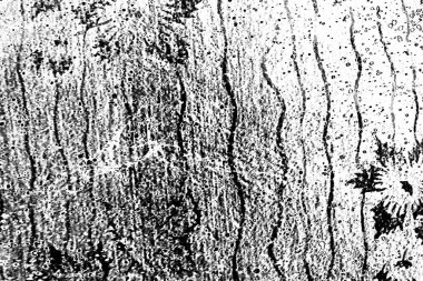 soyut grunge dokusu, siyah beyaz duvar kağıdı