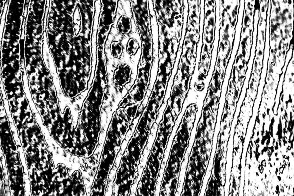 Abstrato Grunge Textura Preto Branco Colorido Papel Parede — Fotografia de Stock