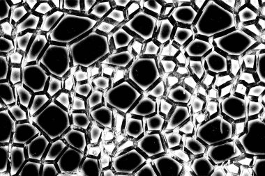 Soyut arkaplan. Monokrom dokusu. Siyah ve beyaz desenli arkaplan. 