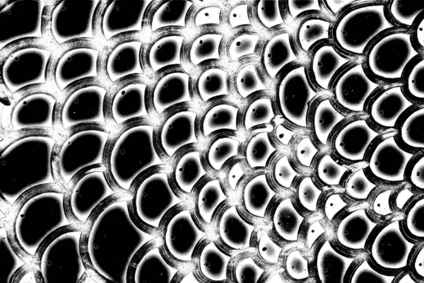 Fondo Abstracto Textura Monocromática Fondo Texturizado Blanco Negro — Foto de Stock