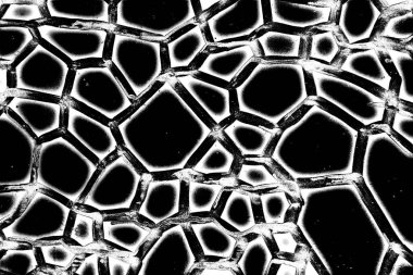 Soyut arkaplan. Monokrom dokusu. Siyah ve beyaz desenli arkaplan. 