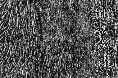 Soyut arkaplan. Monokrom dokusu. Siyah ve beyaz desenli arkaplan. 