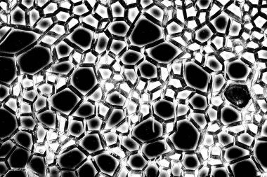 Soyut arkaplan. Monokrom dokusu. Siyah ve beyaz desenli arkaplan. 